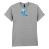 Adult t-shirt Heavy Cotton Thumbnail