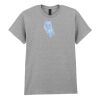 Adult t-shirt Heavy Cotton Thumbnail